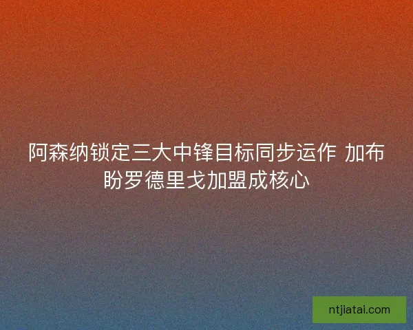 阿森纳锁定三大中锋目标同步运作 加布盼罗德里戈加盟成核心 阿森纳锁定三大中锋目标同步运作 加布盼罗德里戈加盟成核心